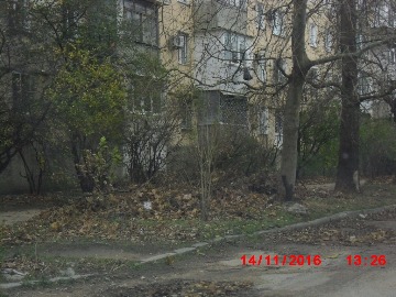 дорога вдоль КИЦ